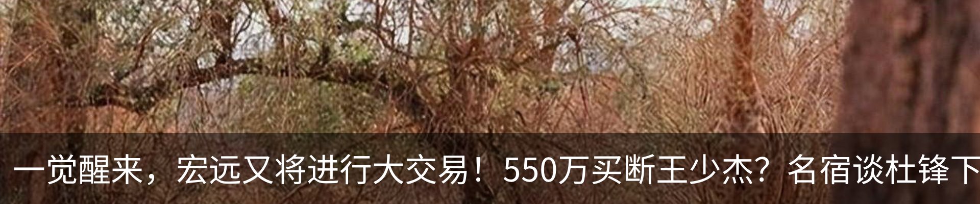 热点资讯
